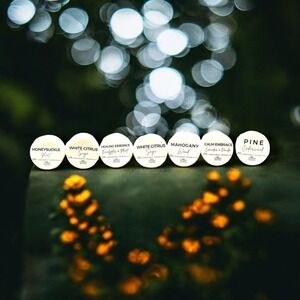 Handcrafted Organic Soap Discovery Set - Natural,‎ Vegan, Essential Oil Infused